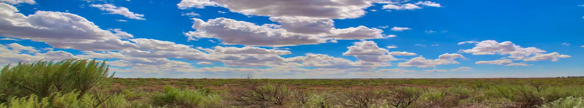 Prairie Ladnscape 1 RS