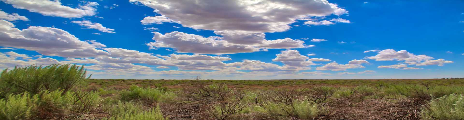 Prairie Ladnscape 1 RS